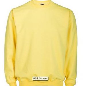 Sudadera básica Joylu color.001Y
