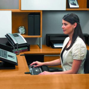 Soporte Fellowes™Designer Suites.8038401