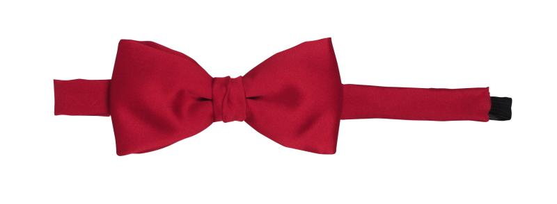 Pajarita caballero color.9716